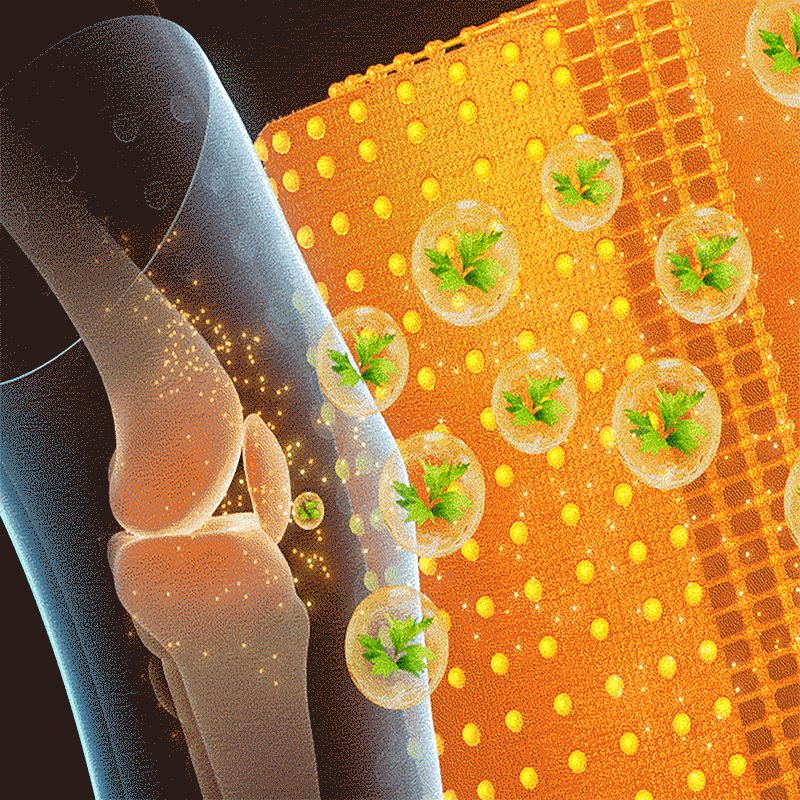 đ„ RFMediThermâą Radiofrequente KrĂ€uter-Thermo-Kniebandage(Von RKI-Experten empfohlen - Geeignet fĂŒr alle Beinleiden)đ